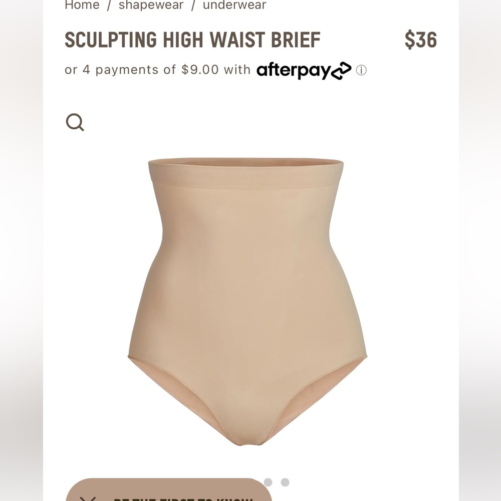 SKIMS Sculpting High Waisted Brief